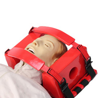 Head Immobilizer